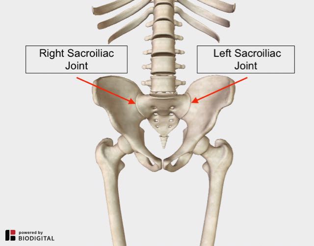 Lower Back And Hip Pain 7 Frequently Overlooked Causes